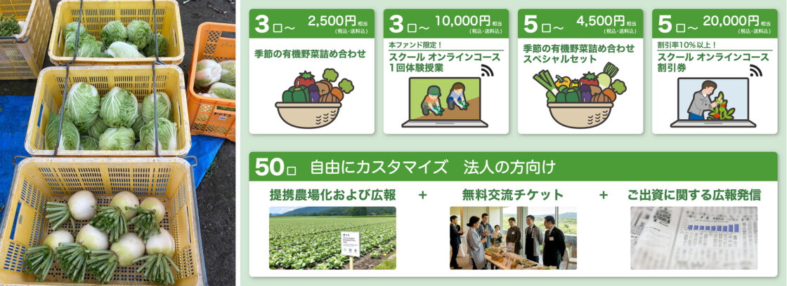 オーガニック野菜と投資家特典