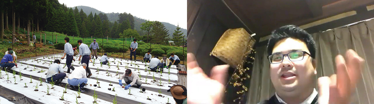 左:地域住民と八日市南高校の生徒が紫草の苗植えを行う様子 / 右:報告時の前川さん